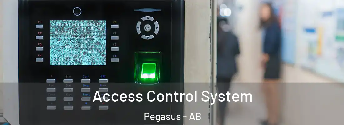  Access Control System Pegasus - AB