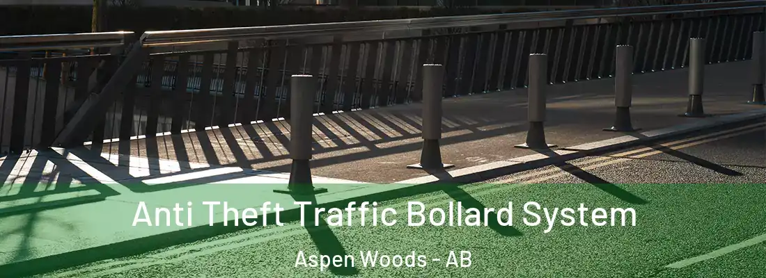  Anti Theft Traffic Bollard System Aspen Woods - AB