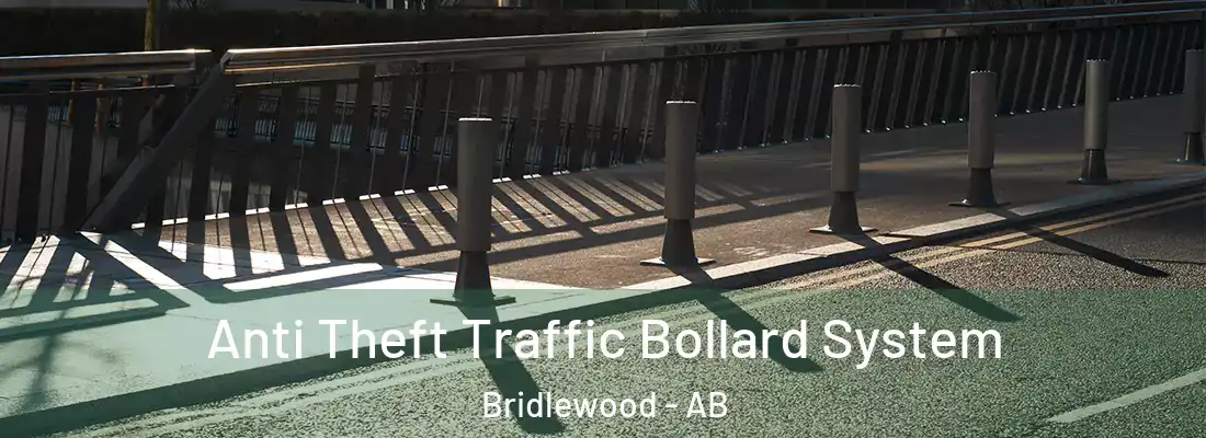  Anti Theft Traffic Bollard System Bridlewood - AB