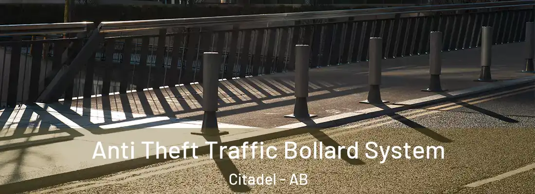  Anti Theft Traffic Bollard System Citadel - AB