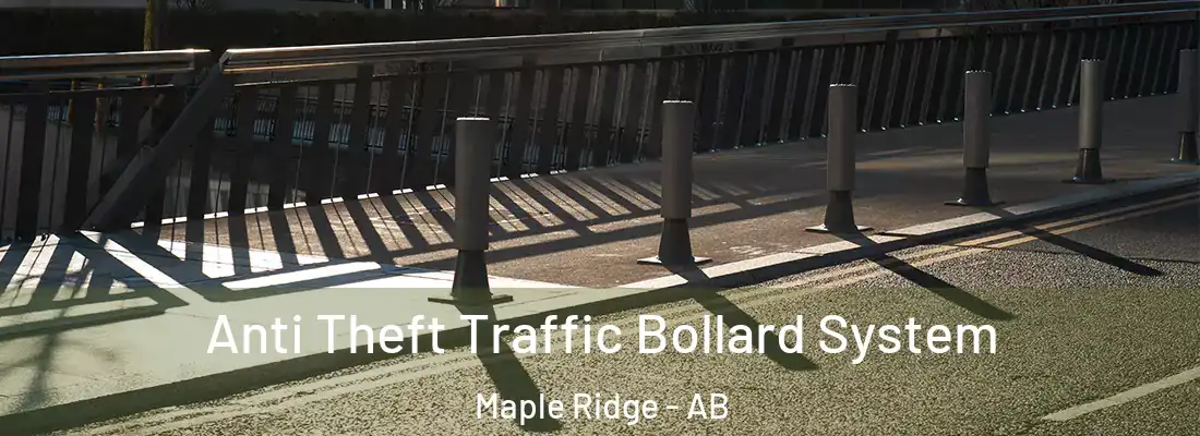  Anti Theft Traffic Bollard System Maple Ridge - AB