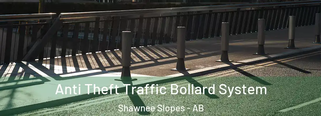  Anti Theft Traffic Bollard System Shawnee Slopes - AB