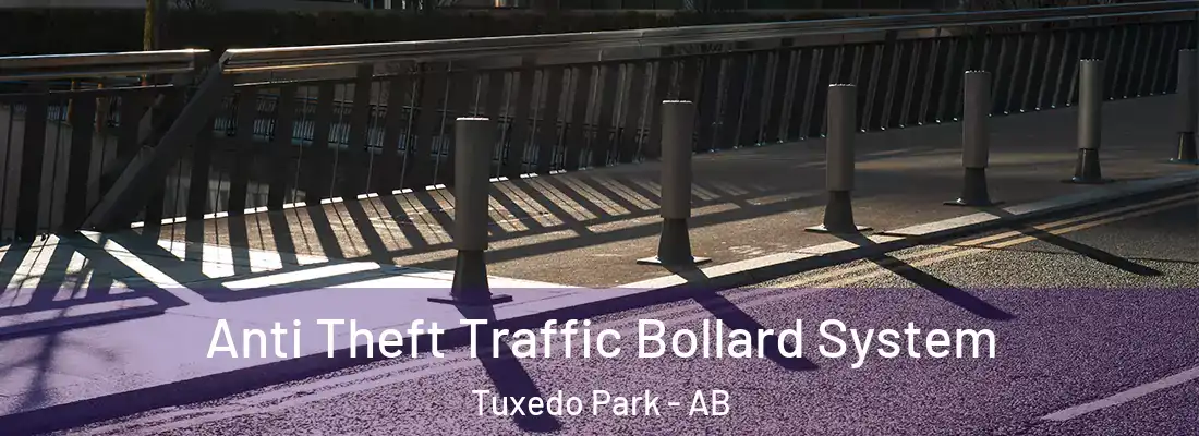  Anti Theft Traffic Bollard System Tuxedo Park - AB