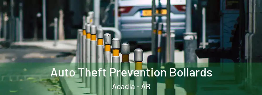  Auto Theft Prevention Bollards Acadia - AB