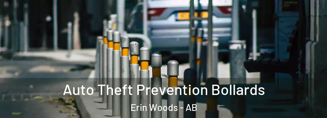  Auto Theft Prevention Bollards Erin Woods - AB