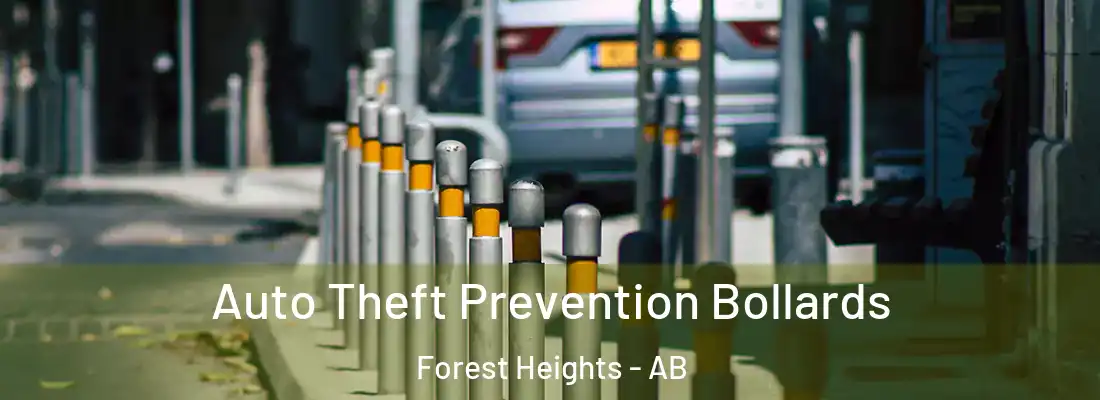  Auto Theft Prevention Bollards Forest Heights - AB