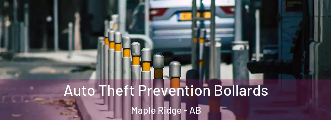  Auto Theft Prevention Bollards Maple Ridge - AB