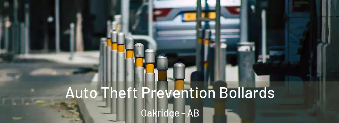  Auto Theft Prevention Bollards Oakridge - AB