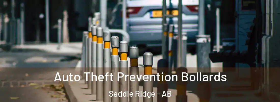  Auto Theft Prevention Bollards Saddle Ridge - AB
