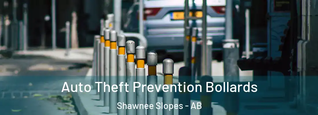  Auto Theft Prevention Bollards Shawnee Slopes - AB