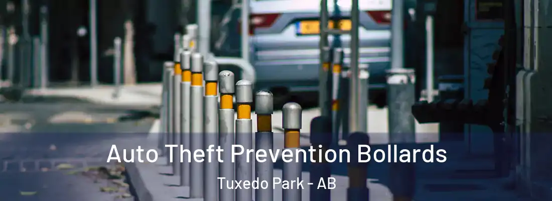  Auto Theft Prevention Bollards Tuxedo Park - AB