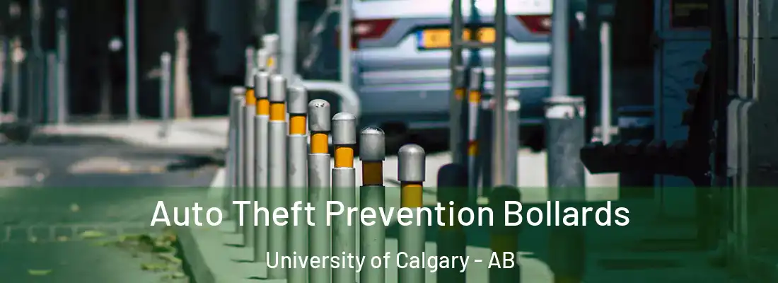  Auto Theft Prevention Bollards University of Calgary - AB
