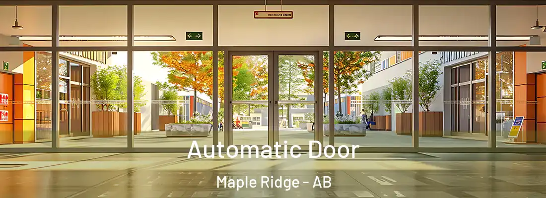 Automatic Door Maple Ridge - AB
