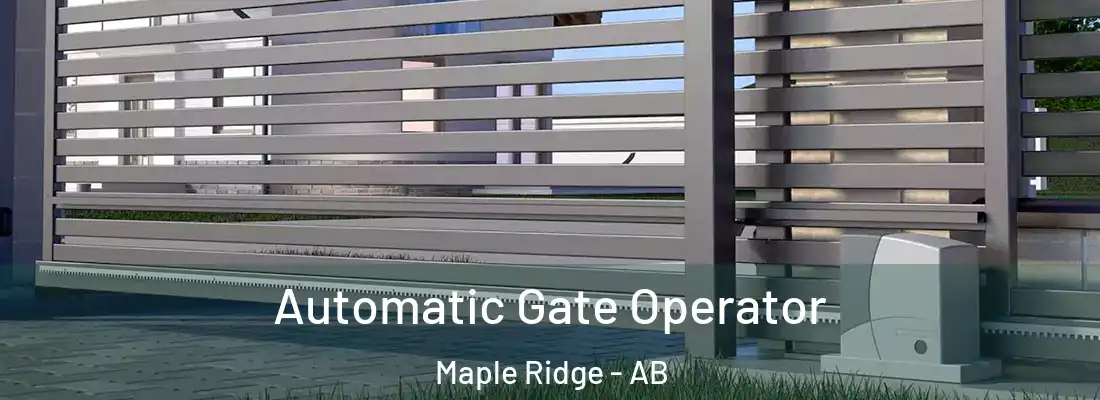  Automatic Gate Operator Maple Ridge - AB