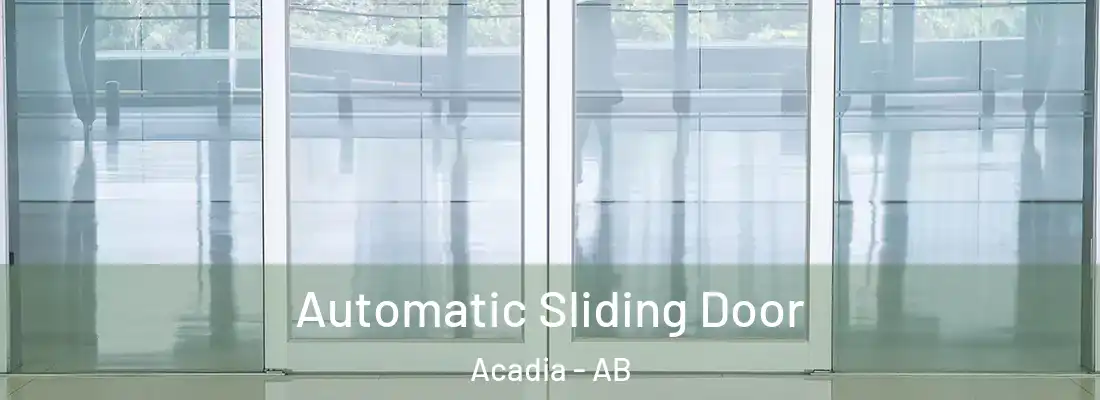  Automatic Sliding Door Acadia - AB
