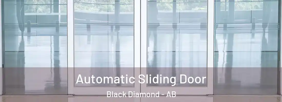  Automatic Sliding Door Black Diamond - AB