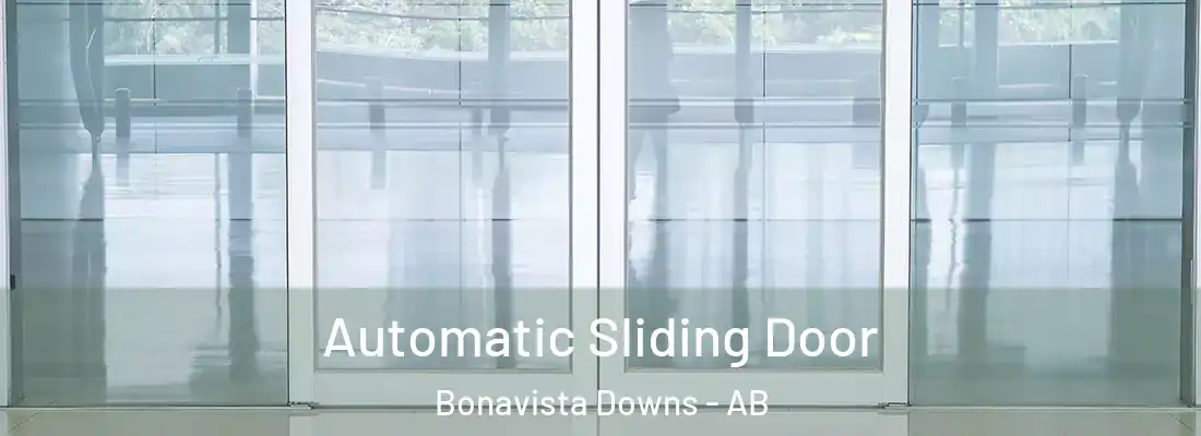  Automatic Sliding Door Bonavista Downs - AB
