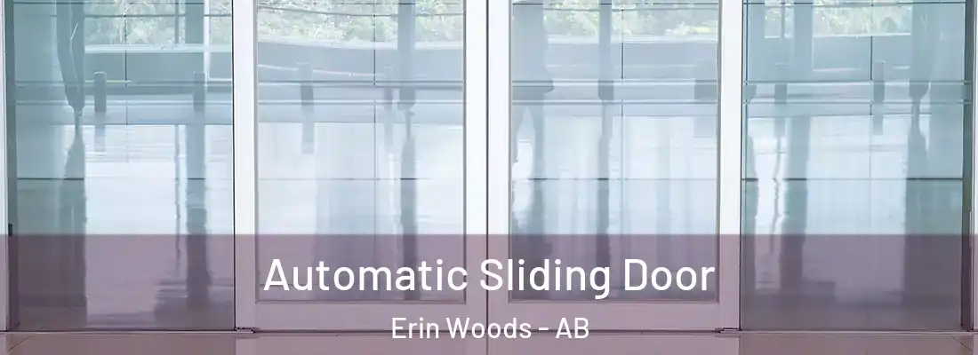  Automatic Sliding Door Erin Woods - AB