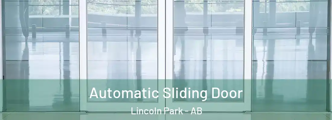  Automatic Sliding Door Lincoln Park - AB