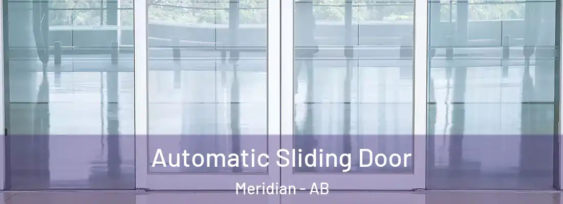  Automatic Sliding Door Meridian - AB