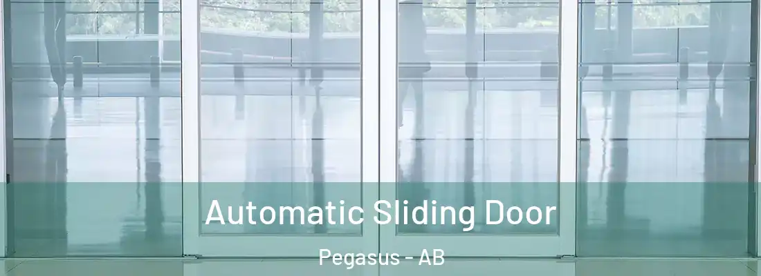  Automatic Sliding Door Pegasus - AB
