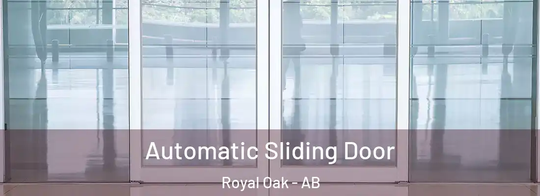  Automatic Sliding Door Royal Oak - AB