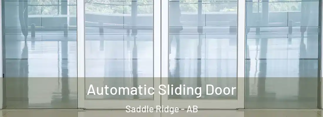  Automatic Sliding Door Saddle Ridge - AB