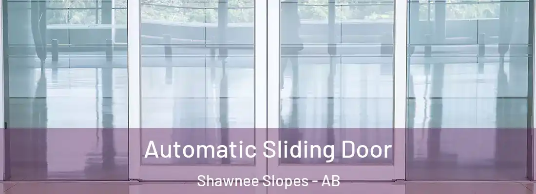  Automatic Sliding Door Shawnee Slopes - AB
