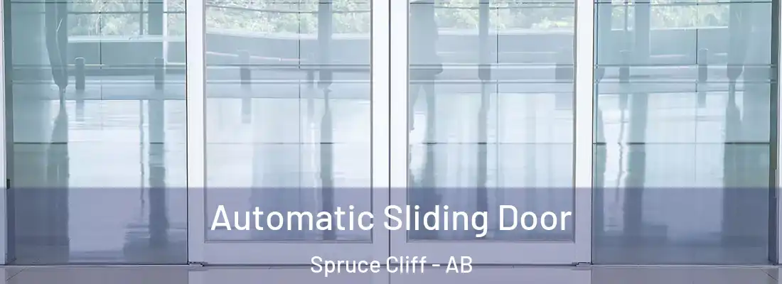 Automatic Sliding Door Spruce Cliff - AB
