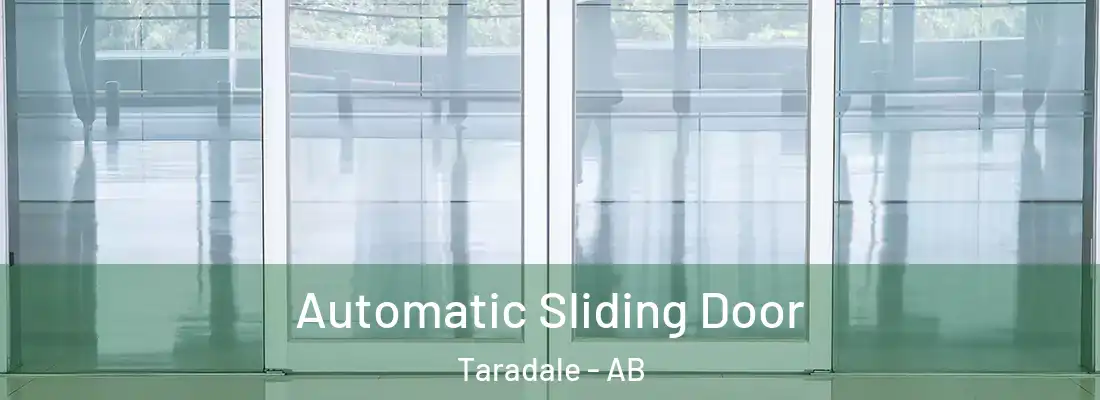  Automatic Sliding Door Taradale - AB