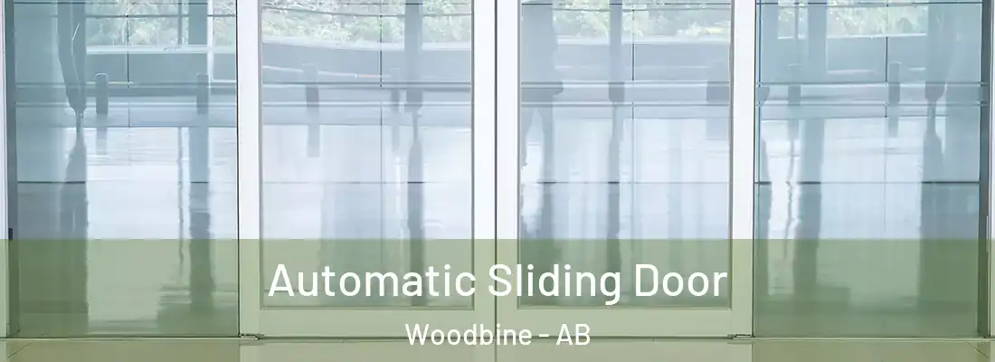  Automatic Sliding Door Woodbine - AB
