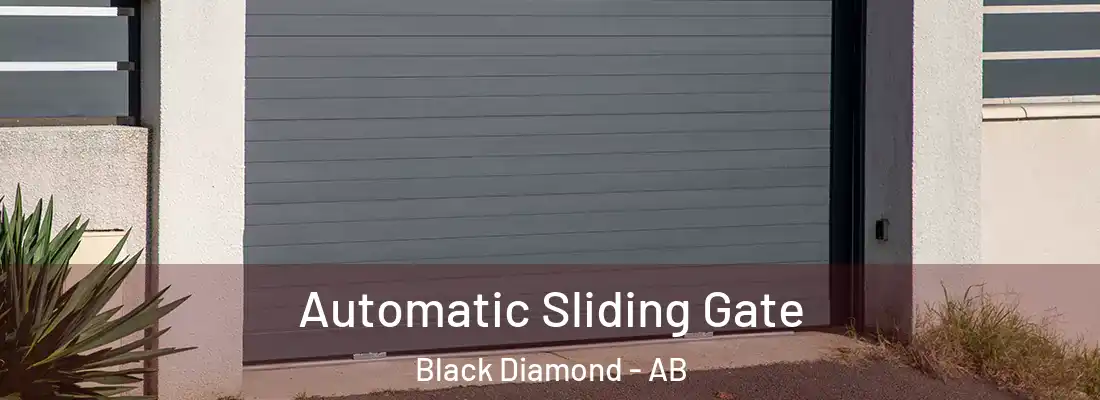 Automatic Sliding Gate Black Diamond - AB
