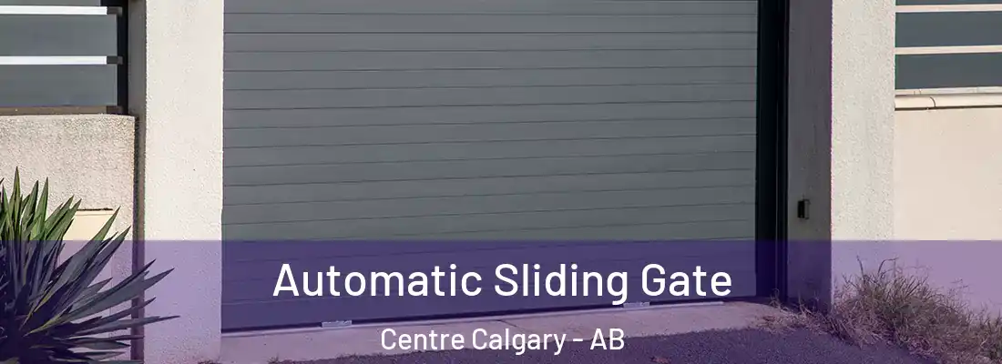  Automatic Sliding Gate Centre Calgary - AB