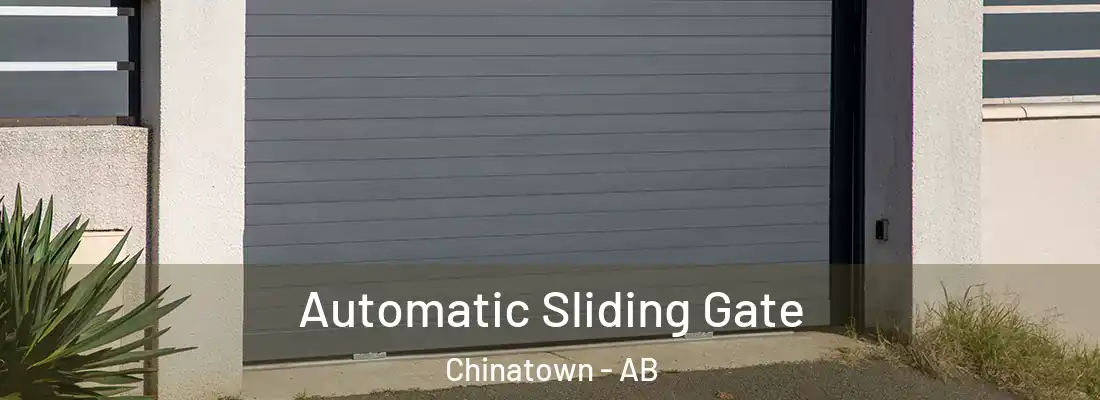  Automatic Sliding Gate Chinatown - AB