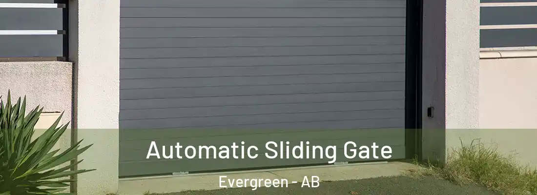  Automatic Sliding Gate Evergreen - AB