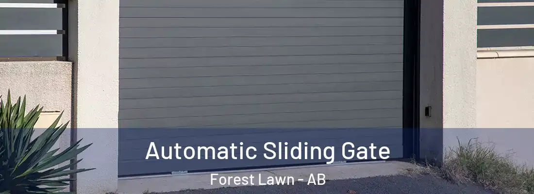  Automatic Sliding Gate Forest Lawn - AB