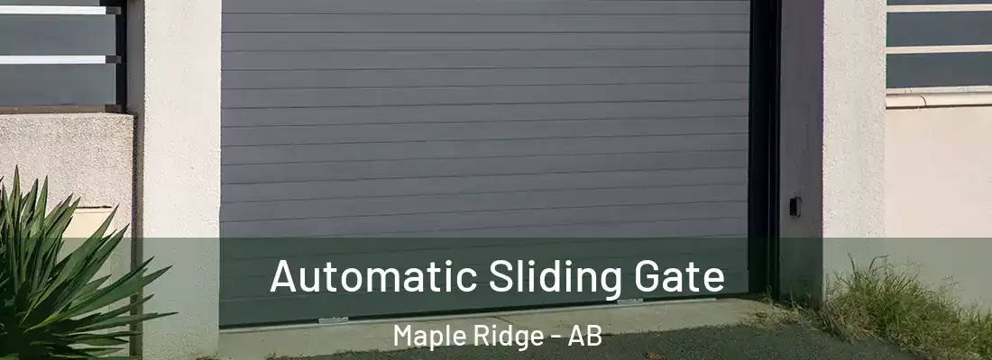 Automatic Sliding Gate Maple Ridge - AB
