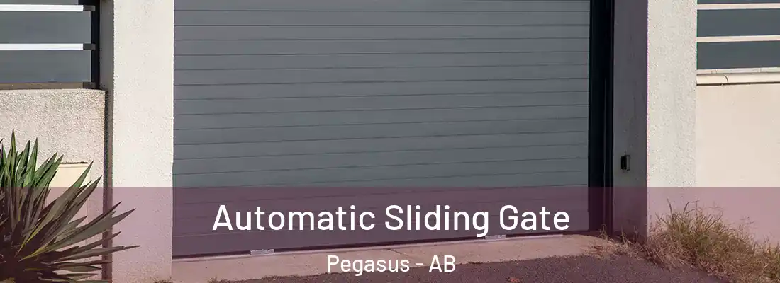  Automatic Sliding Gate Pegasus - AB