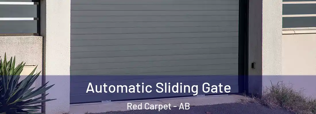  Automatic Sliding Gate Red Carpet - AB