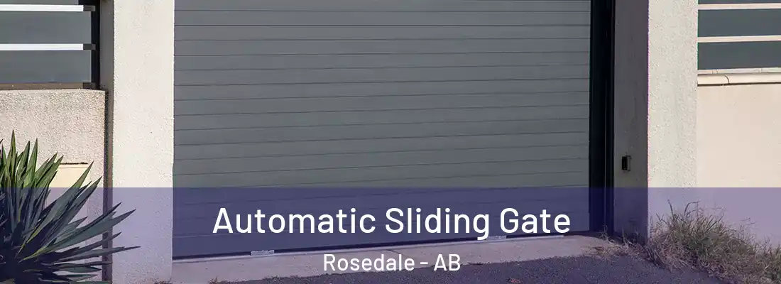  Automatic Sliding Gate Rosedale - AB