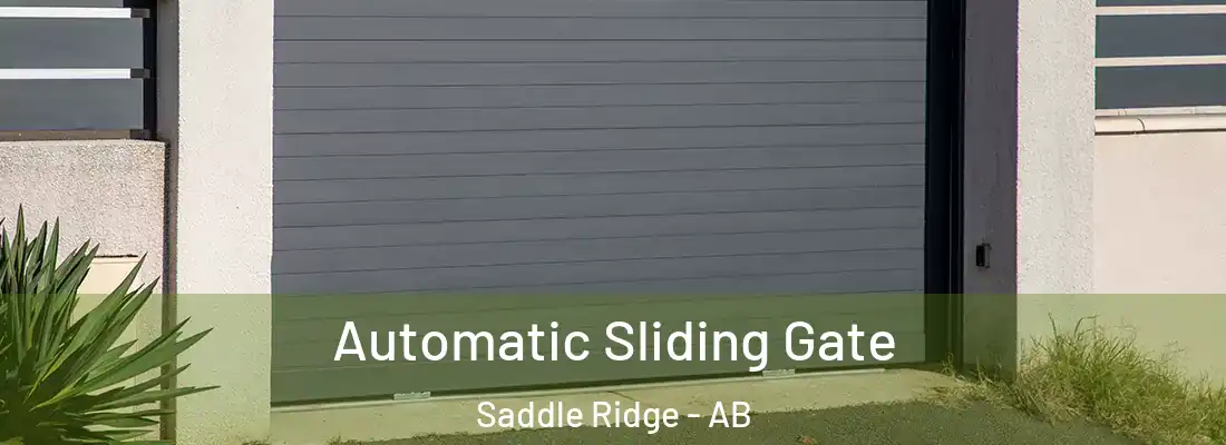  Automatic Sliding Gate Saddle Ridge - AB