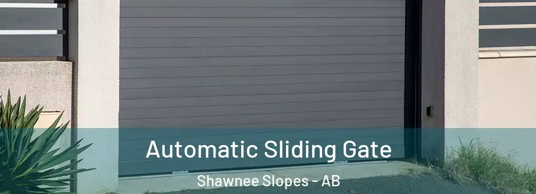  Automatic Sliding Gate Shawnee Slopes - AB