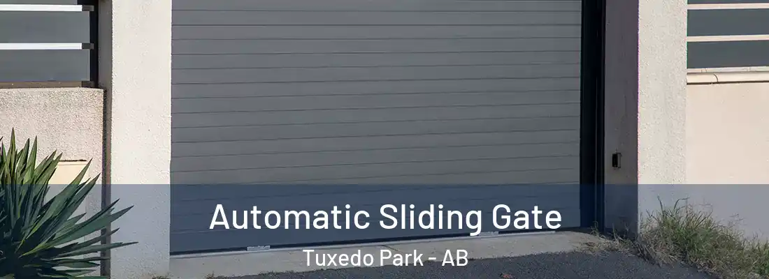  Automatic Sliding Gate Tuxedo Park - AB