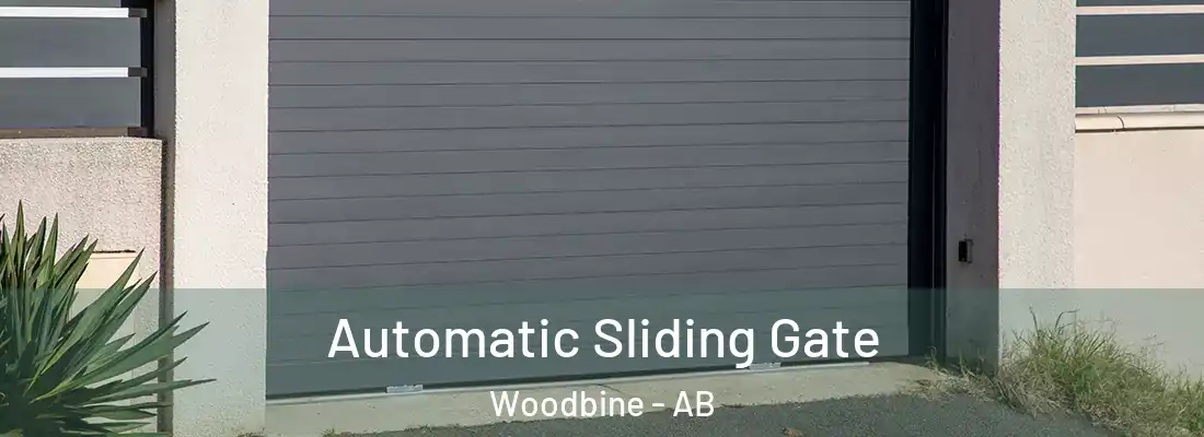  Automatic Sliding Gate Woodbine - AB