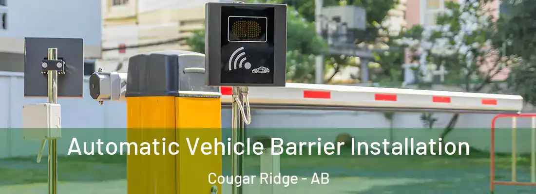  Automatic Vehicle Barrier Installation Cougar Ridge - AB