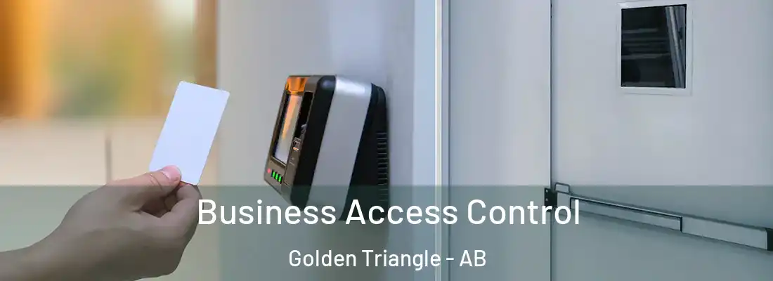  Business Access Control Golden Triangle - AB