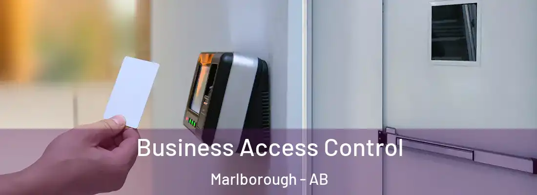  Business Access Control Marlborough - AB