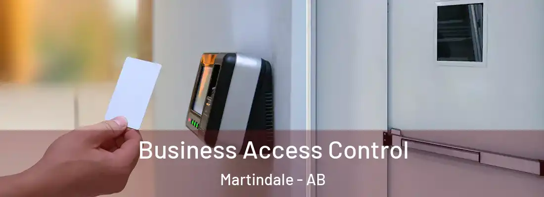  Business Access Control Martindale - AB