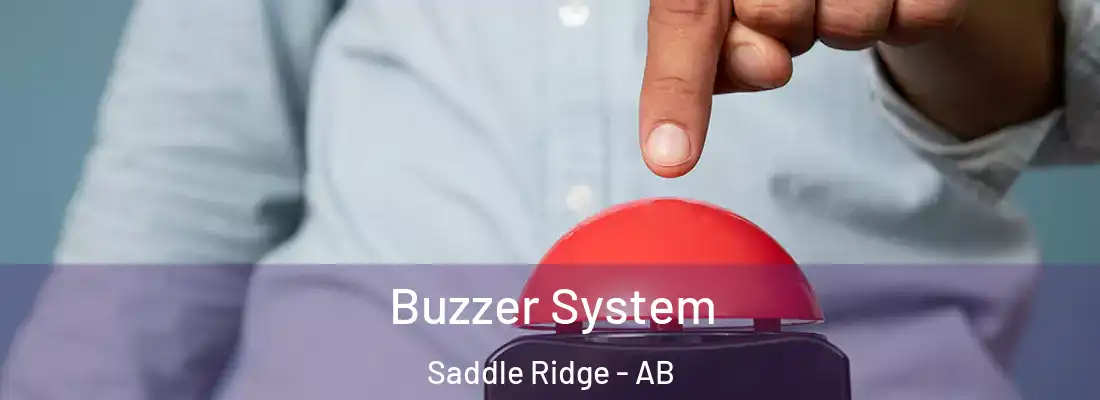  Buzzer System Saddle Ridge - AB