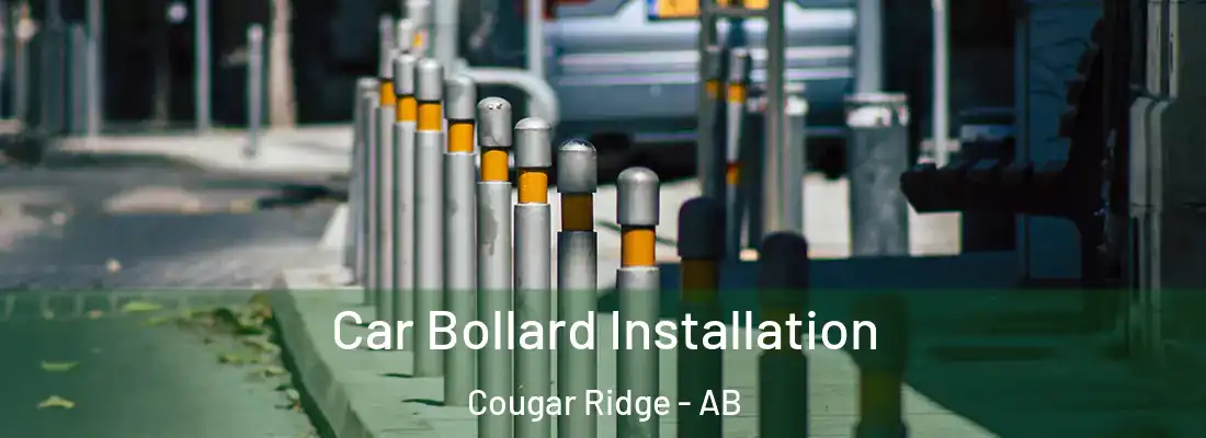  Car Bollard Installation Cougar Ridge - AB